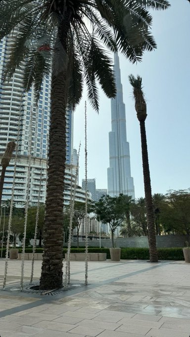 A view of the Burj Khalifa in Dubai, framed by palm trees and fountain jets in the foreground, with surrounding skyscrapers visible.