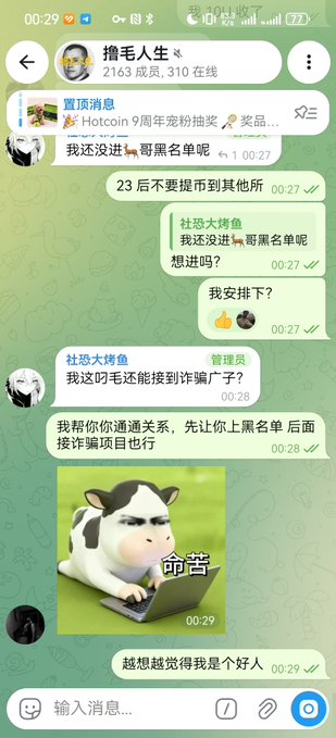 A Chinese chat interface (Telegram or similar) showing a conversation in a group called '撸毛人生' with 2163 members, featuring messages and a meme image of a cow typing on a laptop with the text '命苦'.