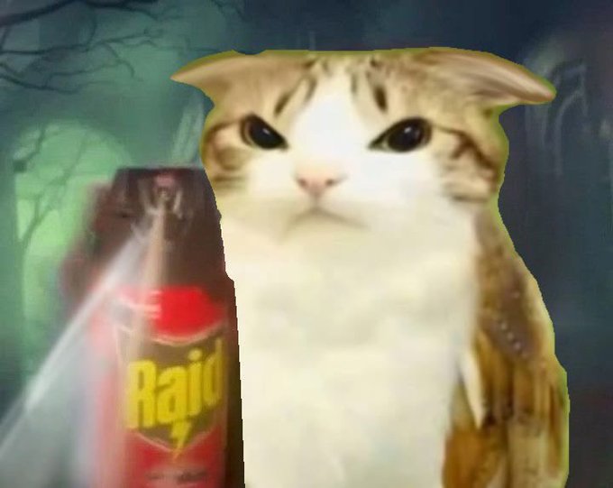 A humorous internet meme image featuring a serious-looking cat next to a can of Raid insecticide spray with a spray beam effect, set against a dark, eerie forest background.