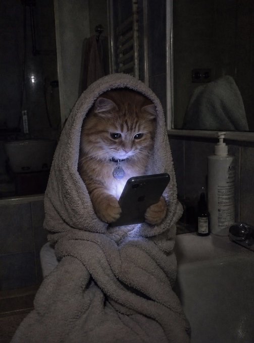 An orange cat wrapped in a towel holds an illuminated iPhone in its paws while sitting on a bathroom counter.