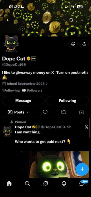 An X (Twitter) profile page for 'Dope Cat' (@DopeCat69) with a black and green cat theme, featuring a pinned post asking 'Who wants to get paid next?' with a cat with glowing green eyes.