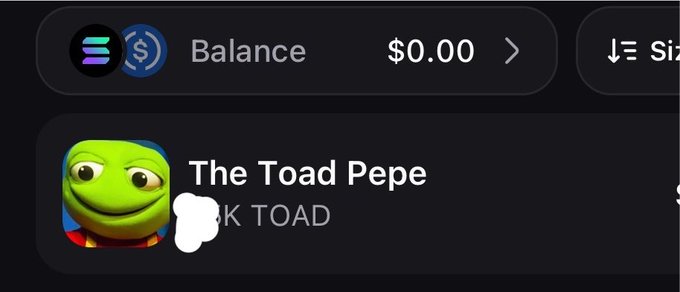 A mobile app interface showing a balance of '$0.00' and a meme coin entry titled 'The Toad Pepe' with a Pepe the Frog character icon, partially obscuring the token name '...K TOAD'.