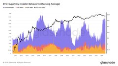 The image displays a Glassnode chart showing BTC Supply by Investor Behavior, with metrics including 1d Moving Average, Total Coins, 1d Net, and BTC Price, illustrating how long-term holders are accumulating significant amounts of Bitcoin during price corrections—a historical pattern that has consistently marked bear market bottoms before subsequent new highs.