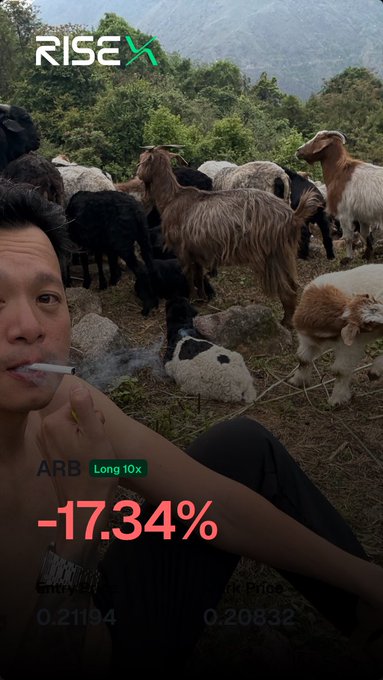 A shirtless man smokes a cigarette while sitting in front of a herd of goats in a rural, mountainous setting, with a "RISE X" logo at the top and a red -17.34% loss indicator for the ARB Long 10x position displayed.