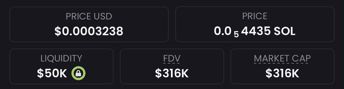 A dashboard shows a micro-cap token trading at just **$0.0003238** (**0.0000004435 SOL**), with **$50K liquidity** and a **$316K FDV/market cap** — the kind of low-value, low-liquidity figures typical of speculative "100x" gem calls.