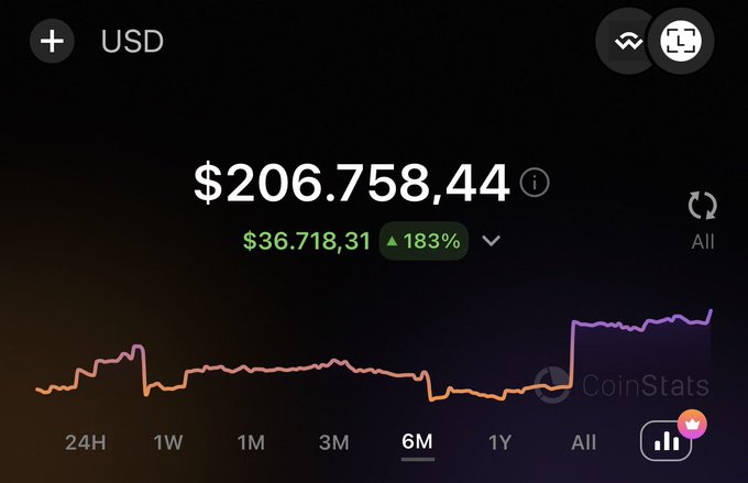 A CoinStats cryptocurrency portfolio screenshot showing a USD balance of $206,758.44 with a 183% gain ($36,718.31), displaying a 6-month price chart with purple and orange trend lines.