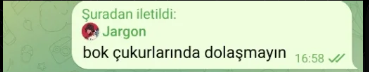 A Turkish messaging screenshot shows a contact named "Jargon" stating "bok çukurunda dolaşmayın" (don't wander in a shit hole) with a timestamp of 16:58, appearing as a blunt warning that visually reinforces the post's caution against venturing into unfamiliar crypto investments like Solana, BNB, and Robinhood without proper expertise.