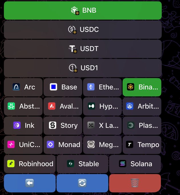 A cryptocurrency wallet app interface displaying token options including BNB (highlighted in green), USDC, USDT, and USD1, along with a grid of blockchain network buttons such as Arc, Base, Ethereum, Binance, Abstract, Avalanche, Hyperliquid, Arbitrum, Ink, Story, Monad, Solana, and others.