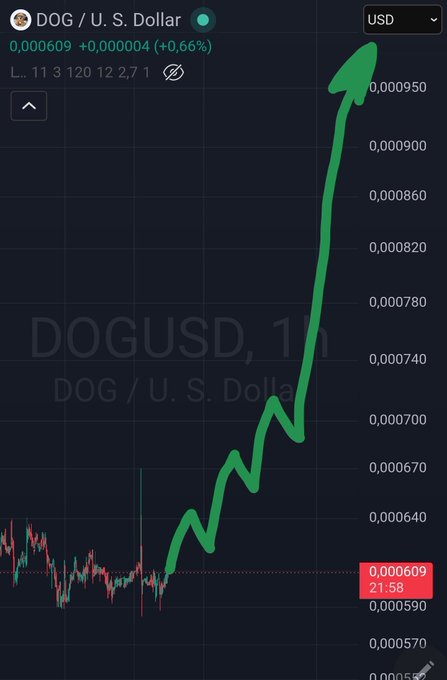 DOG/USD cryptocurrency price chart on a trading platform showing DOG at $0.000609 (+0.66%) with a large green upward arrow indicating price surge.