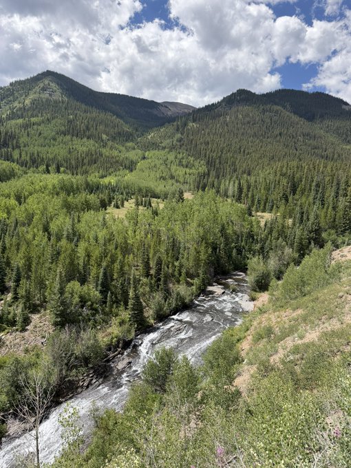An elevated landscape view of a forested mountain valley with a rushing river winding through dense green pine trees under a partly cloudy blue sky.