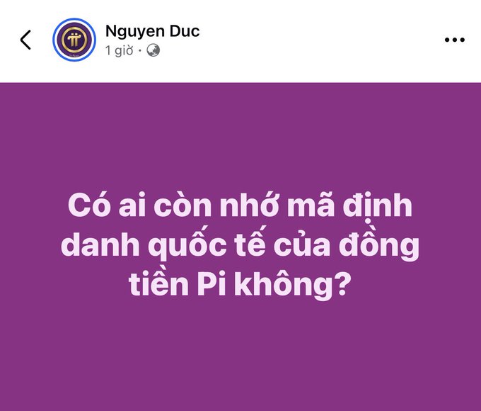 The image is a Facebook post by Nguyen Duc featuring a purple background with white Vietnamese text reading "Có ai còn nhớ mã định danh quốc tế của đồng tiền Pi không?" — translating to "Does anyone still remember the international identifier code for Pi currency?" This directly references the post's inquiry about Pi's international currency code (likely seeking its ISO 4217 code).