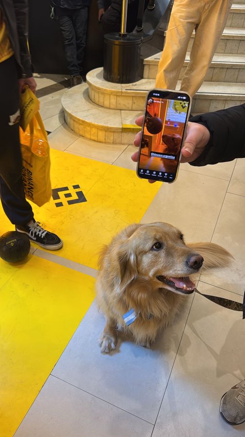 A golden retriever sits on a tiled floor featuring a yellow Binance logo while a person holds up a phone displaying the dog's image in the camera viewfinder.