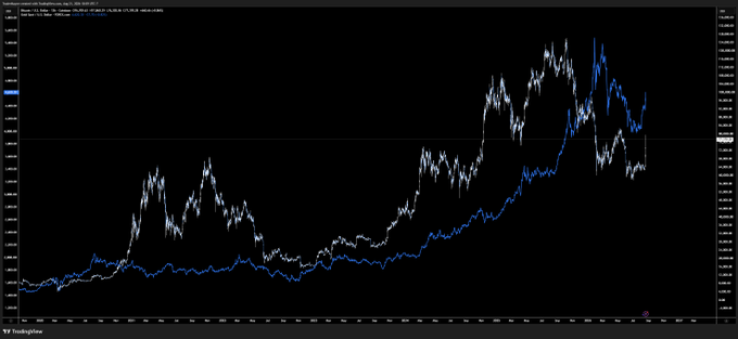 A TradingView chart displays Bitcoin's price in white and gold's price in blue as overlaid line graphs on a logarithmic scale, illustrating their significant price appreciation and the shifting correlation dynamics between the two assets over recent years.