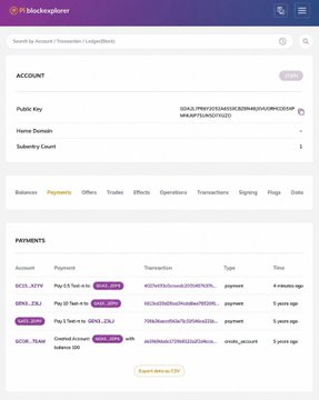 A Blockchain.com account page showing a public key, home domain, and a payments section listing various crypto transactions including $215.12 from ZEN, payments to accounts like 'nemi X2XJ', with an 'Export selector CSV' option.