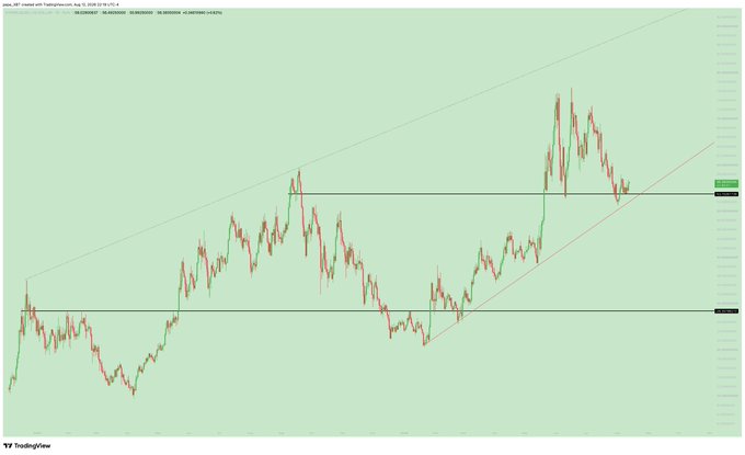 A candlestick chart of HYPE (Hyperliquid) on the 1D timeframe displays price action within a rising channel, with horizontal levels marked near $25.65 and $18.79. The recent price sits around $53, aligning with the post's note that holding above $53 targets the $80s while watching for bearish divergences.