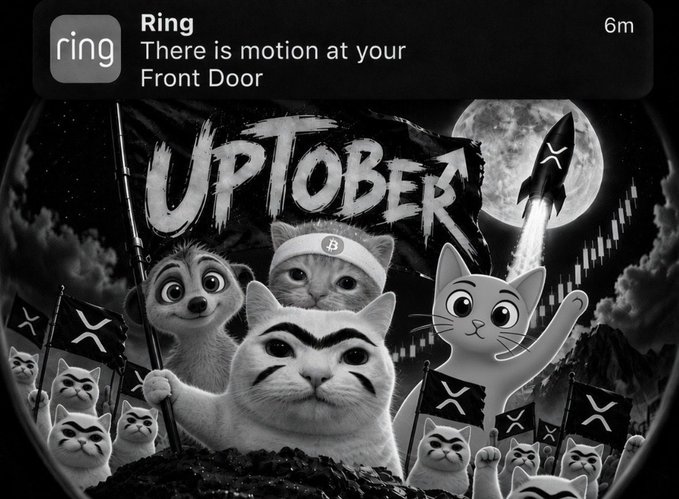 A Ring doorbell notification ('There is motion at your Front Door') with an artistic black and white image featuring cats, a dog, a Bitcoin symbol, and 'UPTOBER' text.