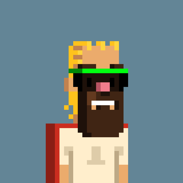 A pixel art image depicting a character with blonde hair, a green headband, a dark beard with a pink nose, and a white shirt against a blue background.