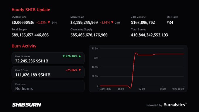 A cryptocurrency dashboard displaying 'Hourly SHIB Update' with SHIB price ($0.00000536), market cap, burn activity, and a burn activity chart from SHIBBURN.