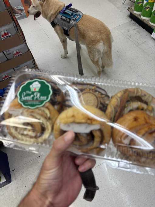 A person holds a plastic container of cinnamon rolls from 'The Sweet Place' bakery in front of a service dog wearing a 'SERVICE DOG' vest in a store aisle.