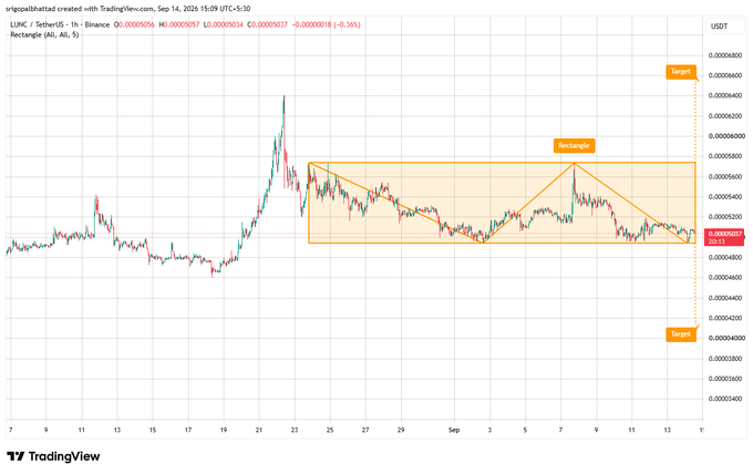 A TradingView candlestick chart for LUNC / TetherUS on Binance, showing a highlighted rectangle and triangle pattern labeled 'Rectangle' with 'Target' markers.