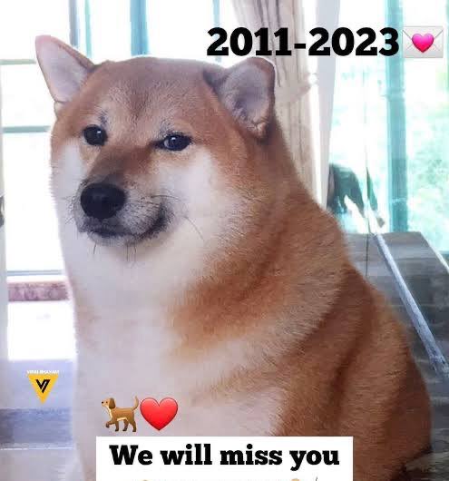 A Shiba Inu dog sits in front of a window with text "2011-2023 💗" at the top and "We will miss you" at the bottom, serving as a memorial tribute image for the Cheems meme token launch on Solana.