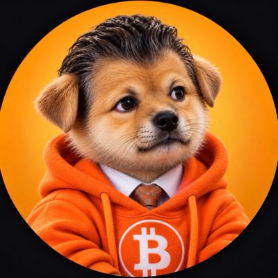 A digital illustration depicts a small brown puppy with a serious expression wearing an orange hoodie, white collar, red tie, and a Bitcoin logo on its chest, set against an orange circular background.