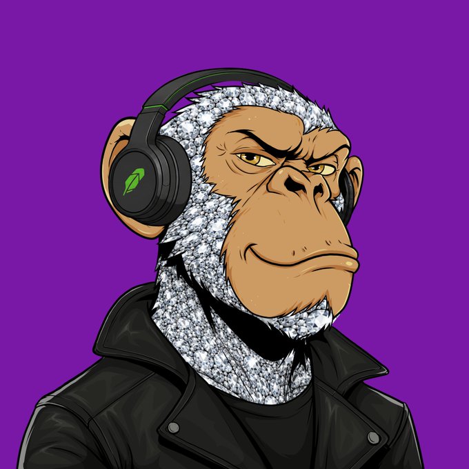 A digital illustration depicts an ape character wearing a black leather jacket and green-accented headphones with a leaf logo, set against a solid purple background.