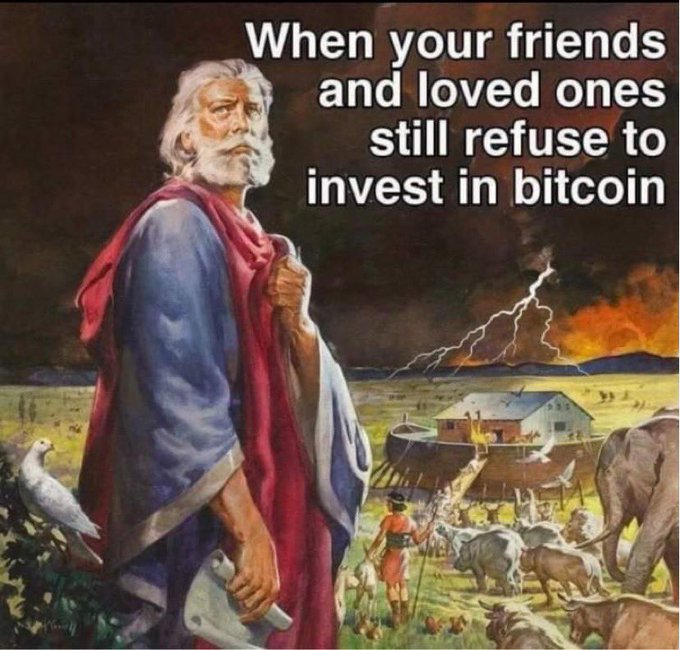 Bitcoin meme depicting a classical painting of Noah with a white dove, looking back at a burning ark with lightning, captioned 'When your friends and loved ones still refuse to invest in bitcoin'.