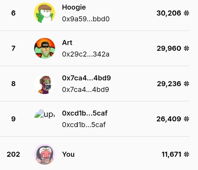 A leaderboard screenshot displays ranked users including 'Hoogie' at rank 6 with 30,206, 'Art' at rank 7 with 29,960, and 'You' at rank 202 with 11,671, showing associated wallet addresses.
