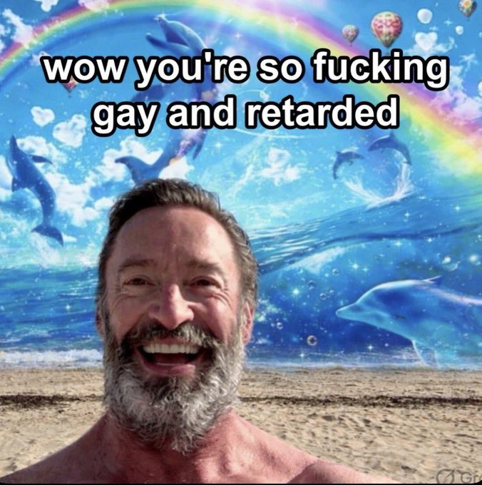 A meme showing a smiling bearded man photoshopped onto a beach scene with dolphins and a rainbow, with bold text reading 'wow you're so fucking gay and retarded'.