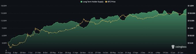 A Coinglass chart titled "Long Term Holder Supply vs BTC Price" tracks the rising long-term Bitcoin holder supply (green) from around 3M BTC in August 2022 to approximately 15M BTC by January 2024, overlaid with Bitcoin's price (yellow) climbing from $10K to over $100K, visually reinforcing the claim that nearly 17 million BTC—roughly 72% of circulating supply—is held in high-conviction, long-term wallets.