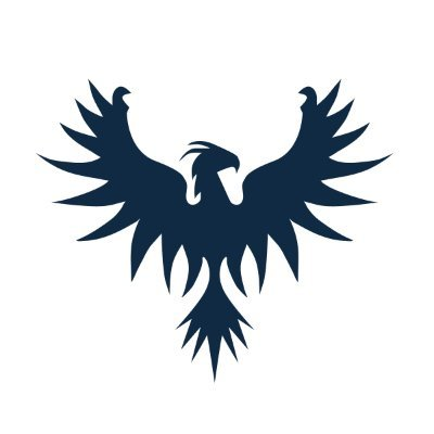 A dark navy silhouette of an eagle with outstretched wings on a white background, symbolizing the cryptocurrency $HYPE token being questioned in relation to Multicoin Capital's custody versus selling activities. The eagle imagery evokes themes of freedom and the value tied up in the asset amid the speculation.