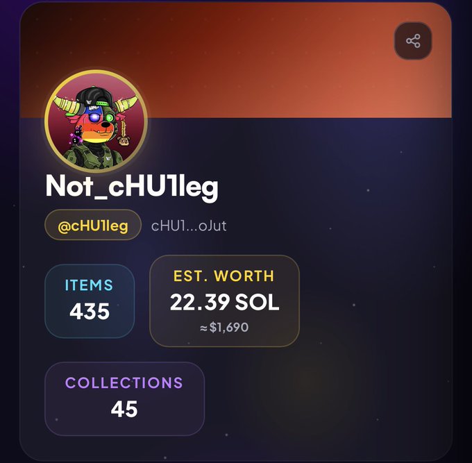 A Solana NFT profile card for user 'Not_cHU1leg' (@cHU1leg) showing 435 items across 45 collections with an estimated worth of 22.39 SOL (~$1,690).