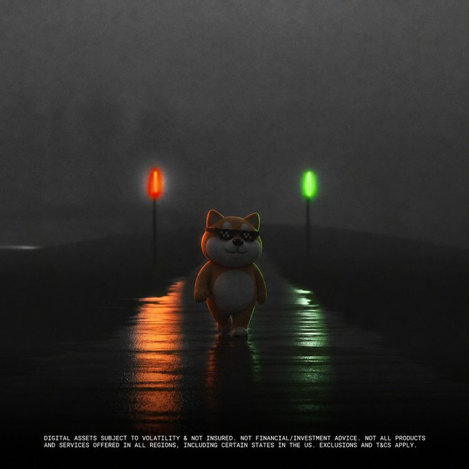 A small orange cat figurine with sunglasses stands on a wet road at night between glowing red and green lights, with disclaimer text about digital assets volatility at the bottom.