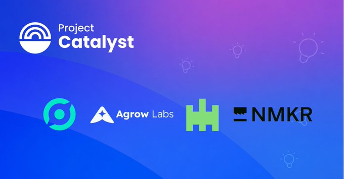 Promotional graphic for "Project Catalyst" featuring a purple-to-blue gradient background with lightbulb icons, showcasing the logos of four featured projects: Agrow Labs, and NMKR (with two other logos). The image visually represents the "Catalyst" ecosystem of innovative Cardano-based projects mentioned in the accompanying post, including derivatives, RWA verification, cross-chain transfers, and wine tokenization initiatives.