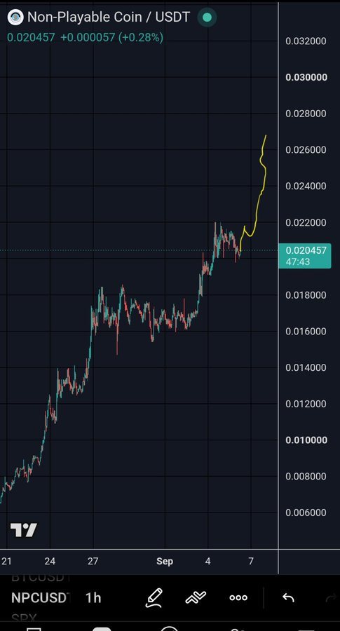 A cryptocurrency trading chart on TradingView showing Non-Playable Coin / USDT (NPCUSD) at 0.020457, up +0.28%, with a sharp upward trend on a 1h timeframe.