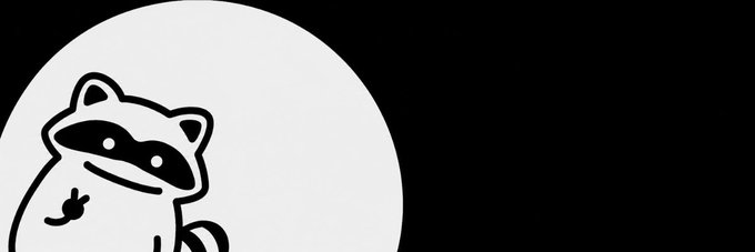 A cartoon raccoon with a black bandit mask is illustrated inside a white circle against a black background, serving as the banner image for the Solana token $RACOONI on Moby.