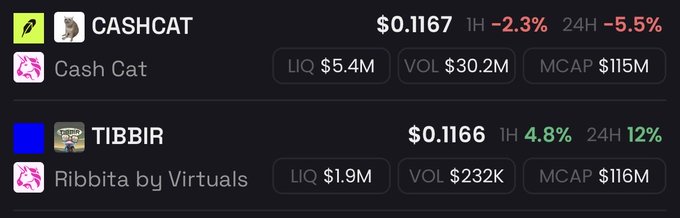 Cryptocurrency market data showing CASHCAT (Cash Cat) at $0.1167 with -2.3% (1H) and -5.5% (24H), and TIBBIR (Ribbita by Virtuals) at $0.1166 with 4.8% (1H) and 12% (24H) gains.