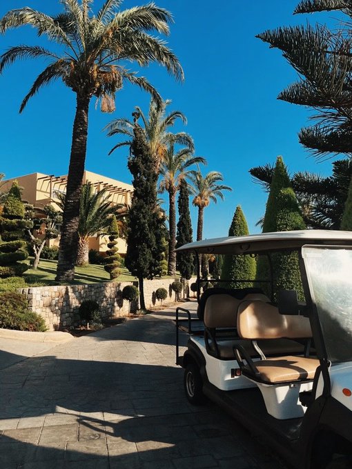 A white golf cart parked on a paved path lined with palm trees and tropical foliage, with a beige building visible in the background under a clear blue sky.