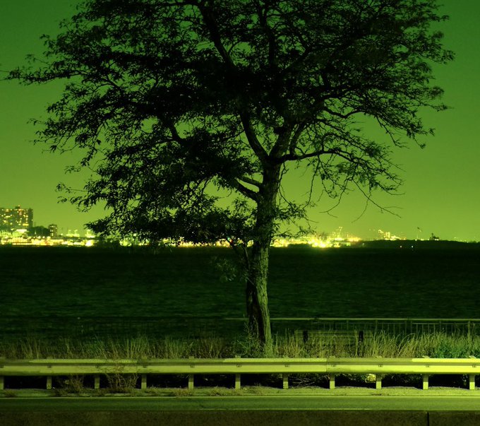 A solitary tree stands silhouetted against a green-tinted night sky, with a distant cityscape glowing across the water behind a guardrail-lined road. The image's quiet, nocturnal atmosphere captures a reflective "goodnight" moment fitting for the post's message of perseverance and dedication to building on Base.