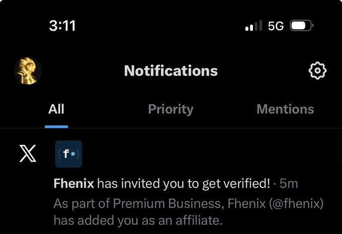The image shows a message from a person named @fhenix, who has sent a notification about their premium business account. The message includes a link to the account page for verification purposes. The text of the message reads "W @fhenix in the chat limitless motion." This indicates that the account holder is actively engaging with others and promoting their business through social media channels.