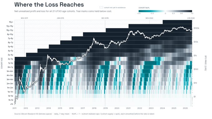 Bitcoin Research Kit chart titled 'Where the Loss Reaches' showing net unrealized profit and loss for all 21 UTXO age cohorts from 2011 to 2026, with cohort age ranging from less than 1 day to over 18 years.