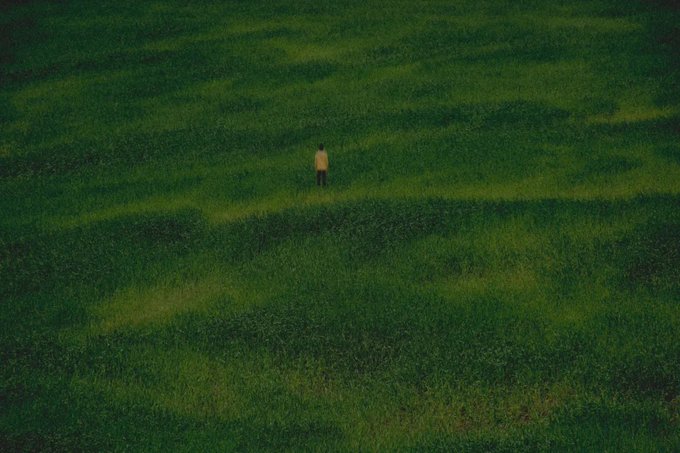 An aerial view of a small figure standing alone in a vast green grassy field at dusk, appearing isolated within the expansive landscape.