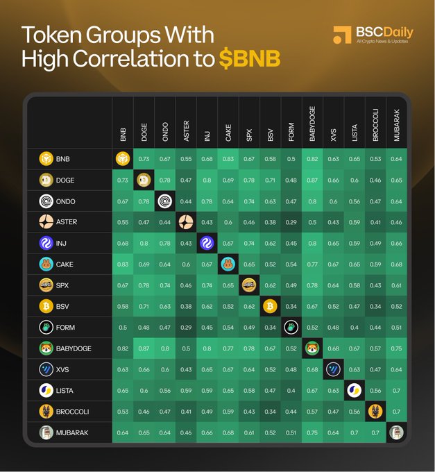 The image is a chart that lists out various types of tokens, their relative values, and if certain tokens move with other assets, such as Bitcoin (BNB). The chart appears to focus mainly on the high-correlation between token groups and specific assets or tokens in particular. In this case, we see that $BNB has the highest corrrelaton with other assets.