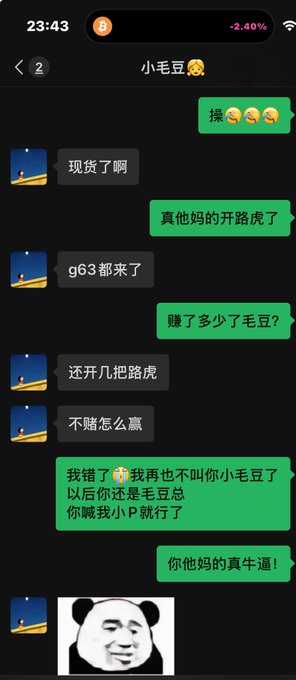 A Chinese chat conversation on a mobile phone where two people discuss losses on a stock called '路虎' (Land Rover), with one insulting the other and a panda meme sent at the end.