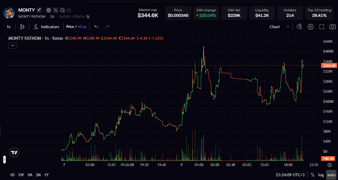 A cryptocurrency price chart for 'MONTY FATHOM' showing a market cap of $344.6K, price of $0.000345, and a 24-hour change of +225.04%.