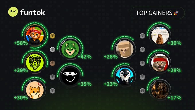 A 'Top Gainers' dashboard from a platform called 'funtok' displaying meme tokens with percentage gains: 58%, 39%, 30%, 42%, 35%, 28%, 23%, 30%, 28%, and 17%.