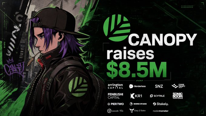 A promotional graphic announces that Canopy has raised $8.5M, featuring an anime-style character with purple hair against a graffiti-style background, alongside the Canopy logo and a list of investors including Arrington Capital, Borderless, SNZ, Fenbushi Capital, KR1, SCYTLABE, Pier Two, Rhinio Stake, and others. The image directly visualizes the funding milestone mentioned in the post, highlighting the project's recent financial backing from top-tier crypto investors.
