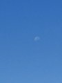 A very small, low-resolution image showing a faint moon or light spot in a dark blue sky.