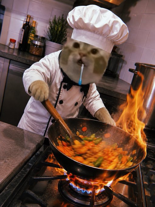 A cat dressed in a chef's uniform is stir-frying vegetables in a flaming wok on the stove, perfectly matching the post's vibe of cooking with intensity and heat.